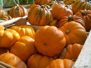 Düsseldorfer Wettleuchten NRW Herbst Erntedank Brauchtum