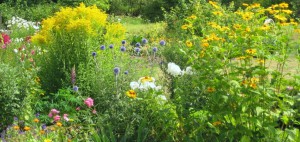 Im Büro wird’s heiß – also nichts wie raus in die Sommerfrische! Wellnesshotel Sommerfrische Sommer Natur Kräuter