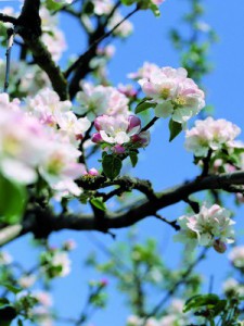 Launisches Wetter – miese Stimmung? Nicht mit diesen Tipps! Selbstmanagement Frühling