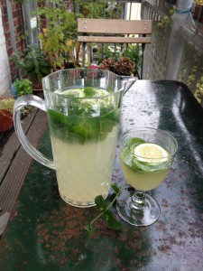 Limonade selbst machen - einfach erfrischend Trinken Sommer Limonade Getränke