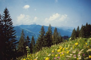 Aktiv-Tipps für den Sommer: Radfahren auf dem Allgäu-Rundweg Wellnesshotels Sport Sommer Radfahren Allgäu