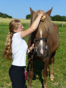Pferde und Wellness: Eine perfekte Kombination. Gastbeitrag aus dem Freund – Das Hotel und Spa-Resort Sport Reiten Freund-Das-Hotel-und-Spa-Resort