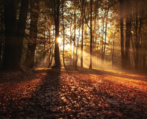 Wellness im Herbst Wellnesshotel Wellness Herbst Auszeit