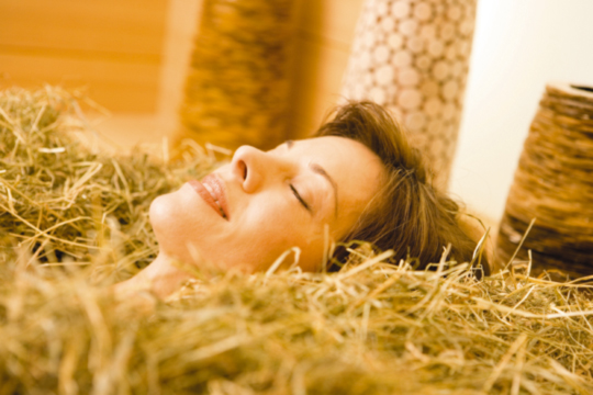 Erntezeit: Zeit für Naturprodukte Wellness Kräuter Herbst Früchte Bäder Auszeit