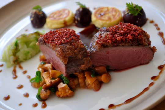 Rehrücken mit Cranberrykruste, Pfifferlingen, Selleriepüree, glasierten Kirschen und kleinen Kartoffel Blinis | Rezept Rezepte
