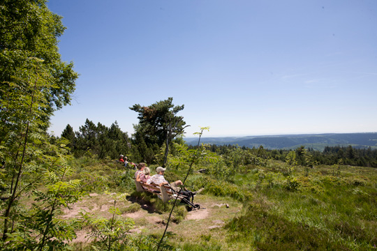 Aktivurlaub im Sommer: Wandern, Radfahren, Golfen Sommer Laufen joggen