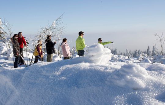 Gruppe wandert im Nationalpark-Hotel Schliffkopf im Schwarzwald