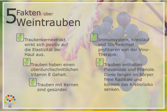 Wellness und Wein - Herbstzeit ist Traubenzeit Wellnessurlaub Massage Detoxing