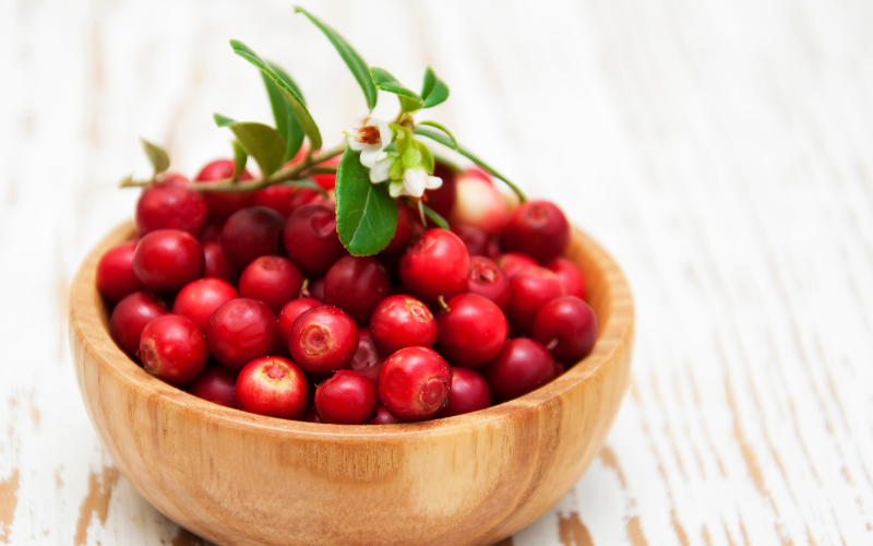 Wichtigste Zutat für den Cranberry-Macadamia-Müsliriegel