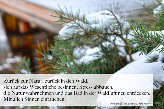 Adventskalender 2018 der Wellness-Hotels & Resorts Winter Weihnachten
