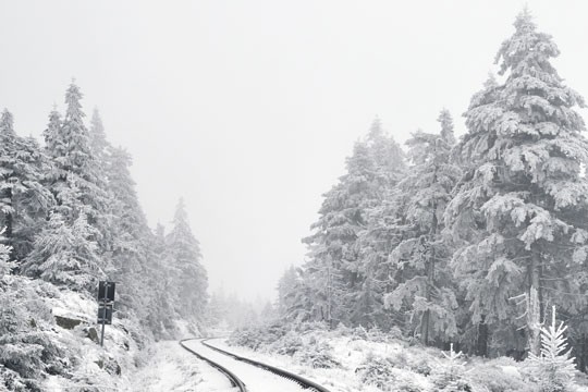 Sonne, wir vermissen dich! - Was uns im Winter müde, aber vor allem wieder wach macht wohlfühlen winterdepression Winter Wellness Ernährung