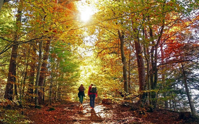 Wellnessurlaub im Herbst genießen und Natur erleben