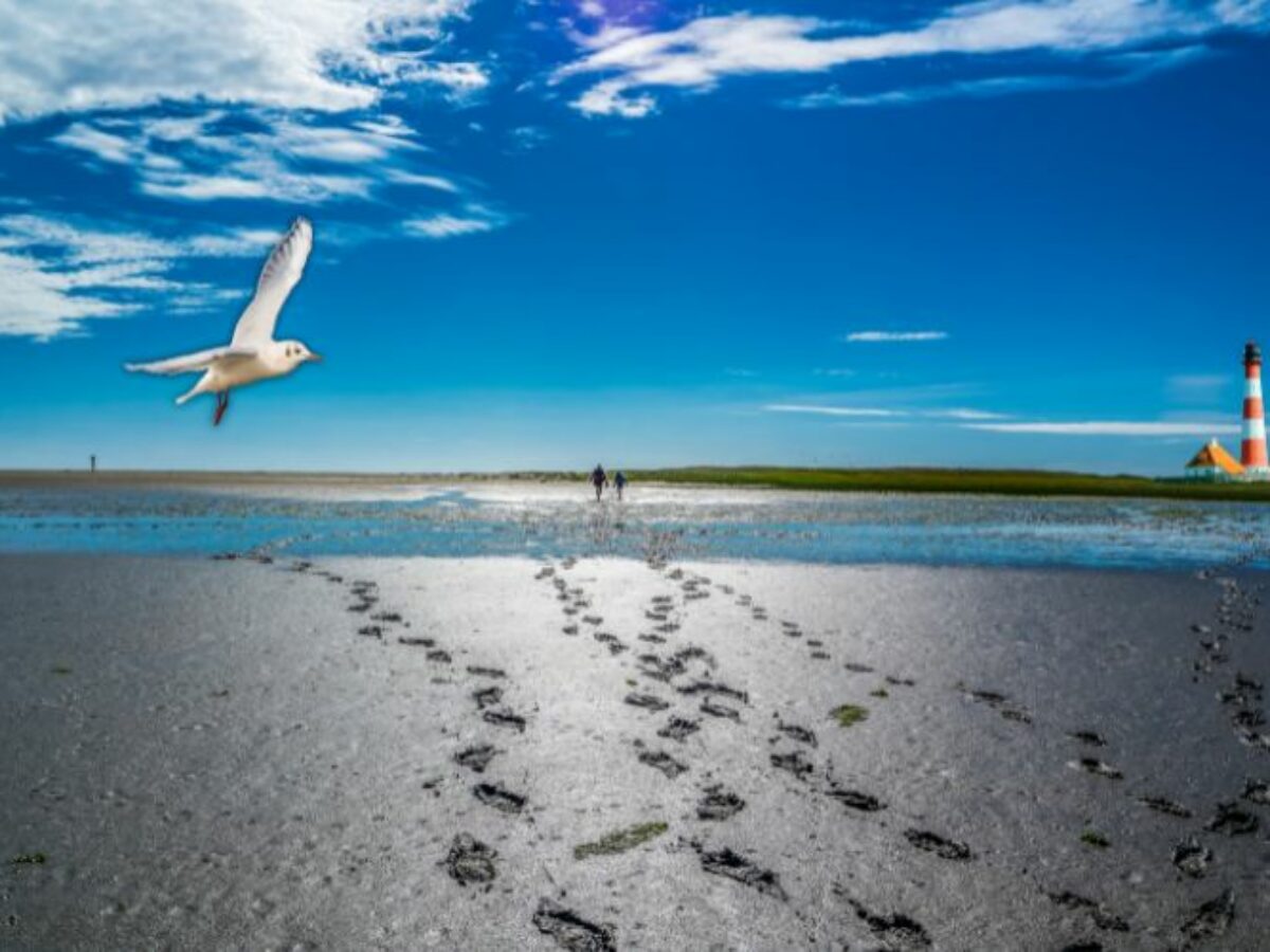 Westerhever Leuchtturm // Ausflugstipp Nordsee & Nationalpark