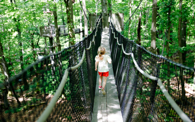 Tipp mit Kindern Kletterwald