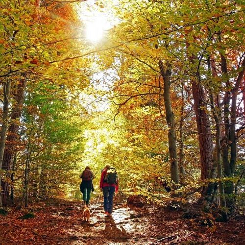 Wellnessurlaub im Herbst genießen und Natur erleben